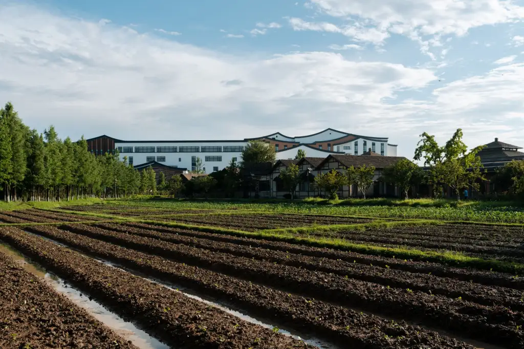 2025年有机肥料行业新标准对四川农资市场的影响分析正文配图 2