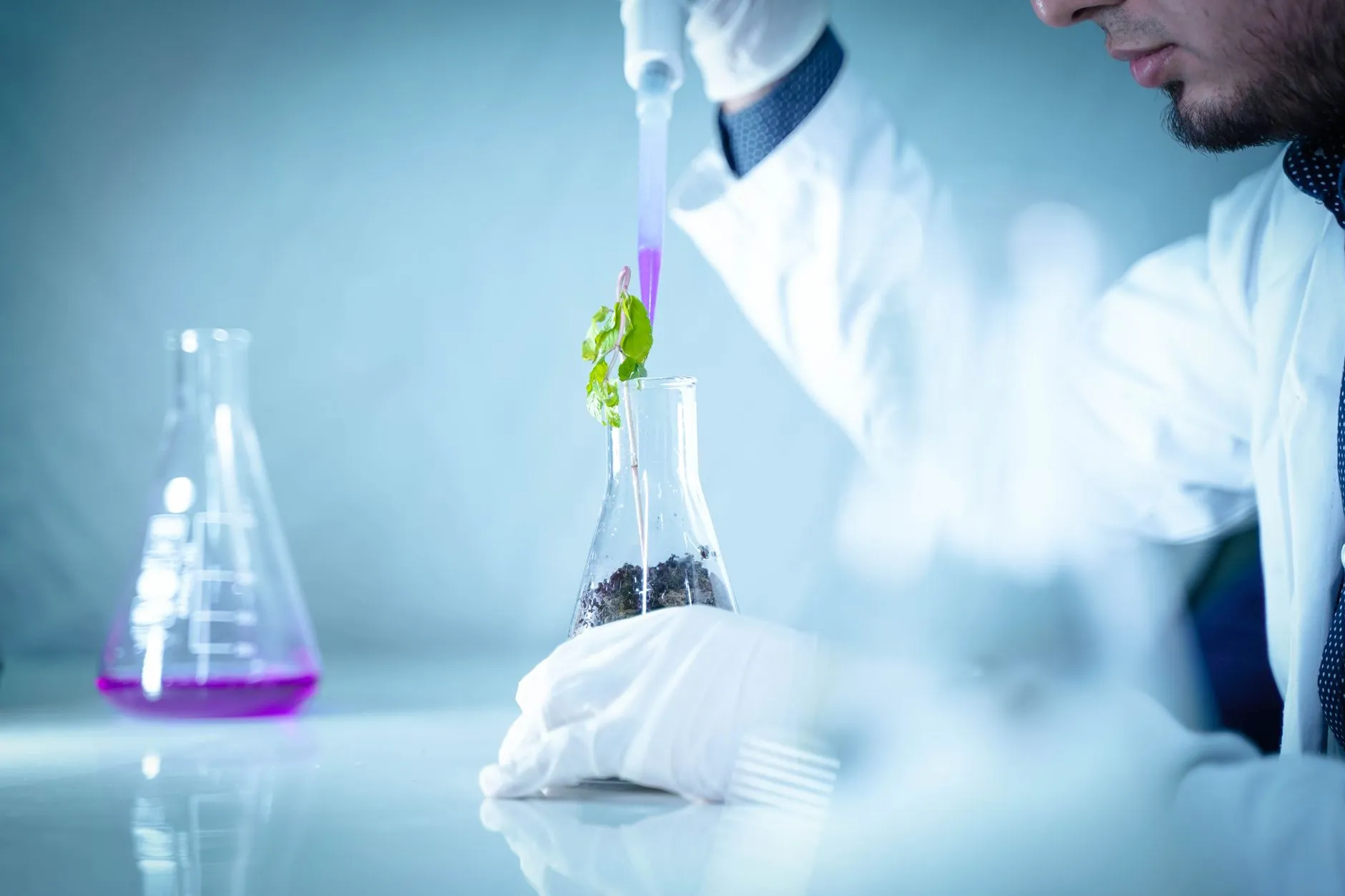 水溶肥与复合肥在蔬菜种植中的差异化应用及选用指南正文配图 2