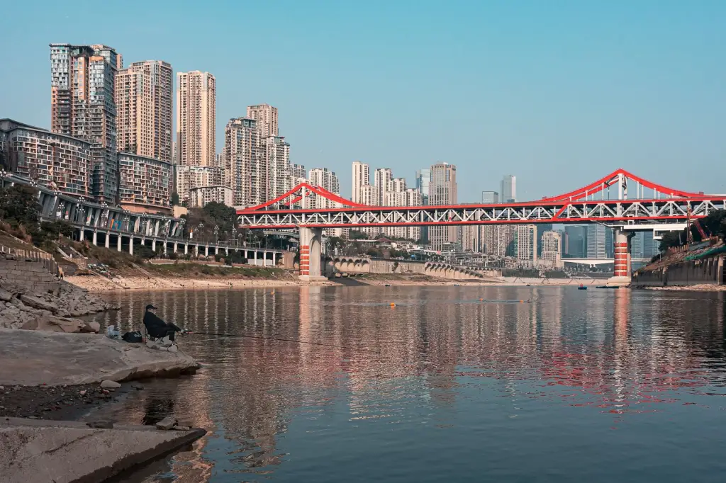 水溶肥与复合肥在四川柑橘种植中的养分释放特性对比分析