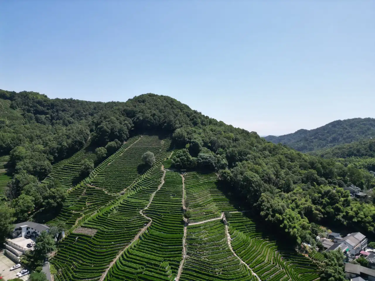 有机肥料与复合肥配施技术解析：提升四川地区作物产量与土壤肥力的实践路径