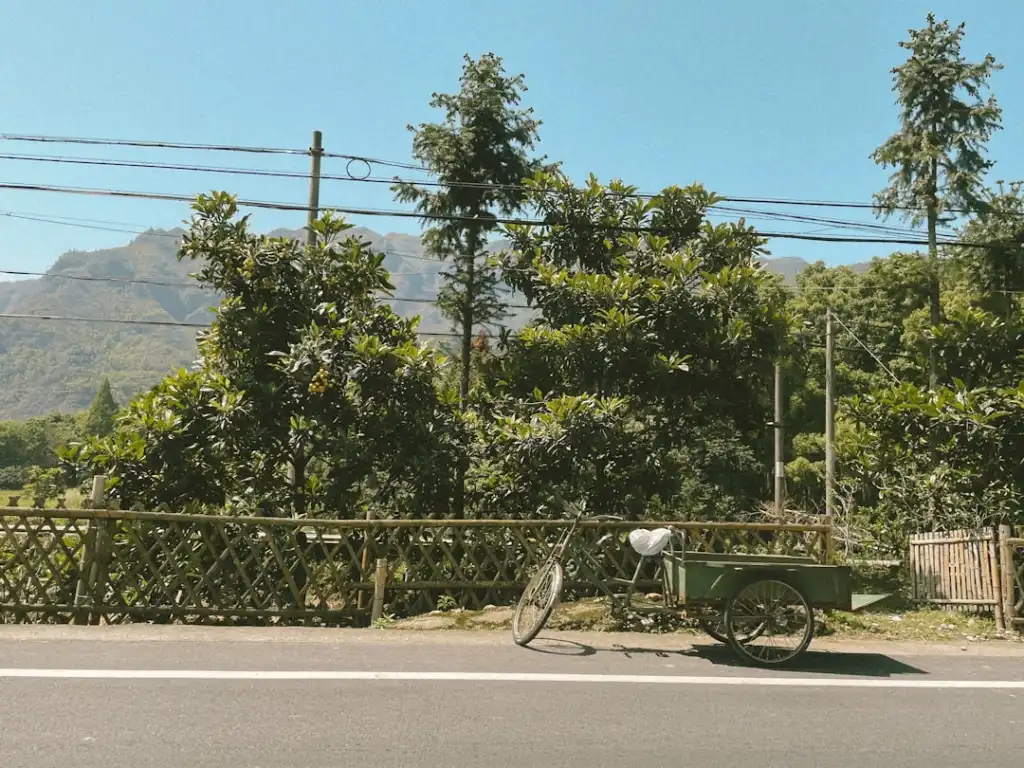水溶肥在西南设施蔬菜上的应用效果与施肥方案