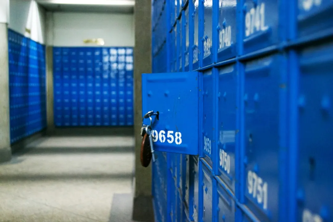 有机肥料与复合肥的区别及在四川农业种植中的科学选用指南