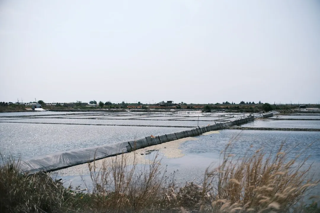 复合肥与有机肥料配施技术解析：提升四川地区作物产量的科学方案